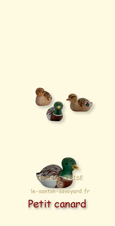 Petit canard